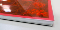 Front Stripe Poly Cover Color: Red